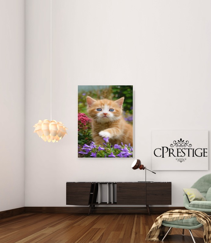 Poster Bébé chaton mignon marbré rouge dans le jardin