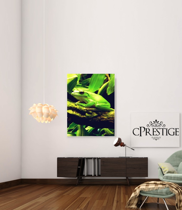 Poster Green Frog