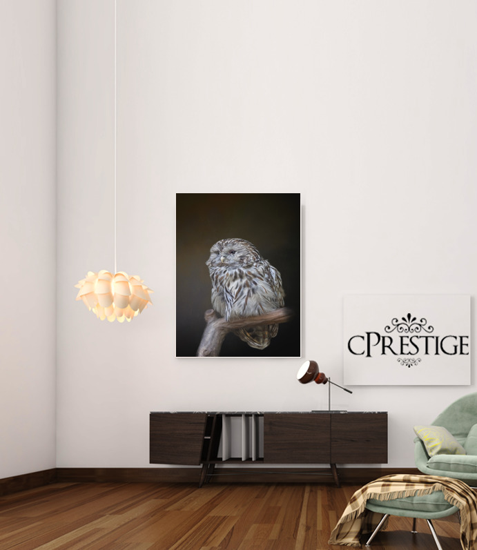 Poster Lovely cute owl