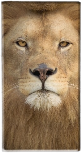 Batterie Africa Lion