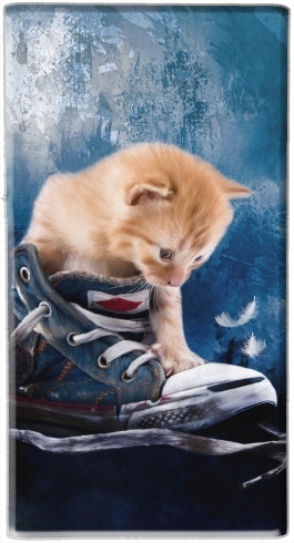 Batterie Cute kitten plays in sneakers
