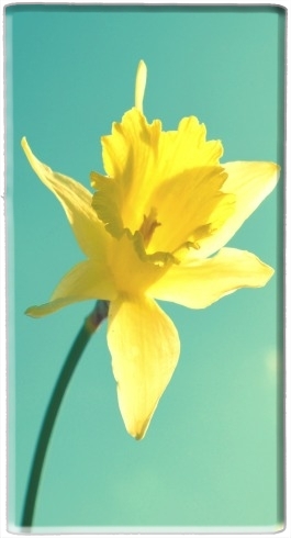 Batterie Daffodil
