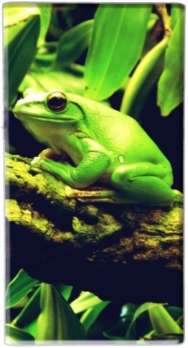 Batterie Green Frog