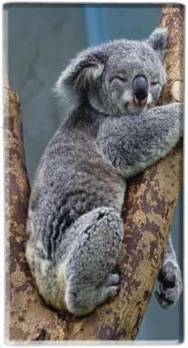 Batterie Koala Bear Australia