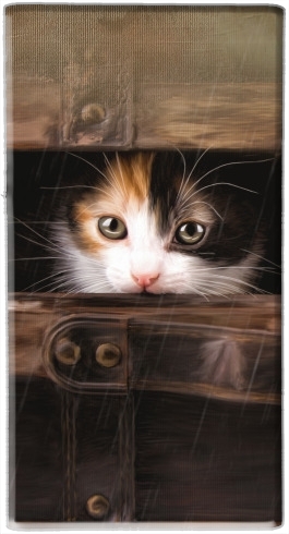 Batterie Little cute kitten in an old wooden case