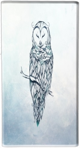 Batterie Snow Owl