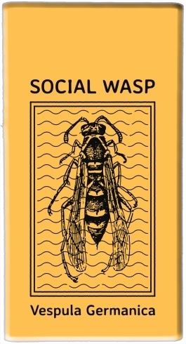 Batterie Social Wasp Vespula Germanica