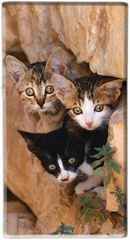 Batterie Trois petits chatons mignons dans un orifice d'un mur