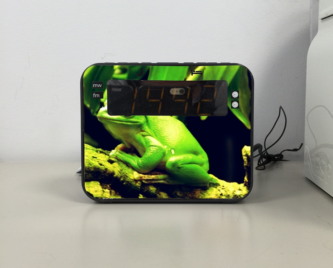 Radio-réveil Green Frog