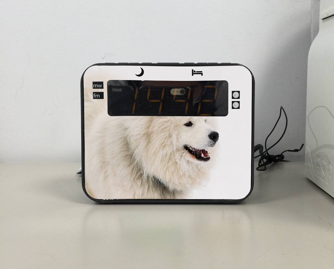 Radio-réveil samoyede dog