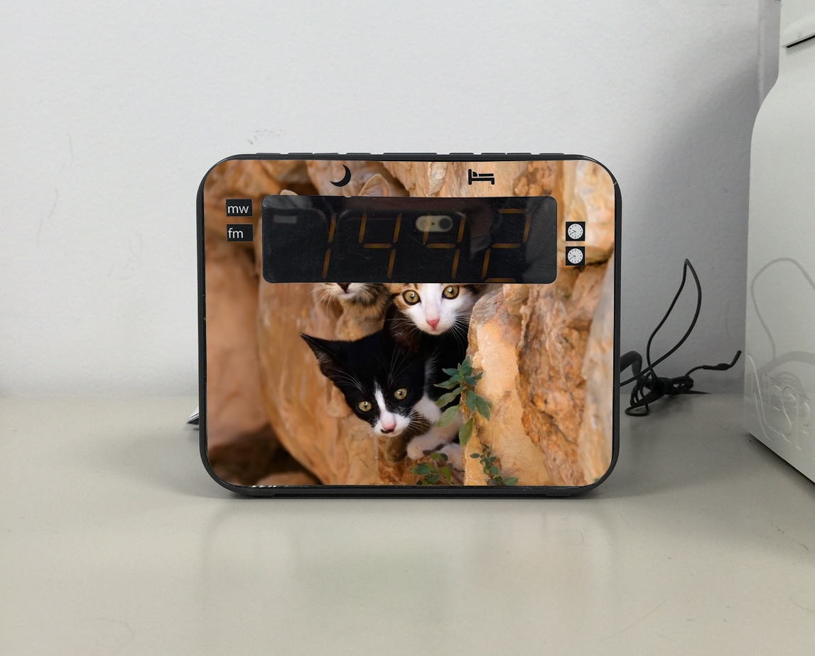 Radio-réveil Trois petits chatons mignons dans un orifice d'un mur