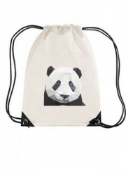 sac-gym panda