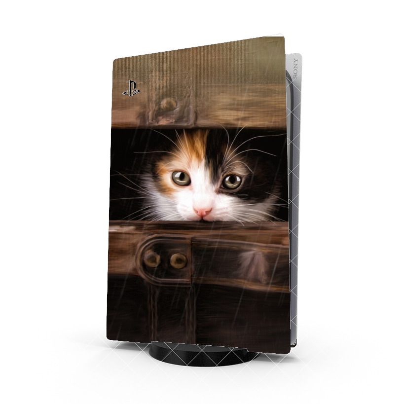 Autocollant Little cute kitten in an old wooden case