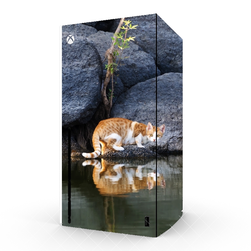 Autocollant  Reflet chat dans l'eau d'un étang 