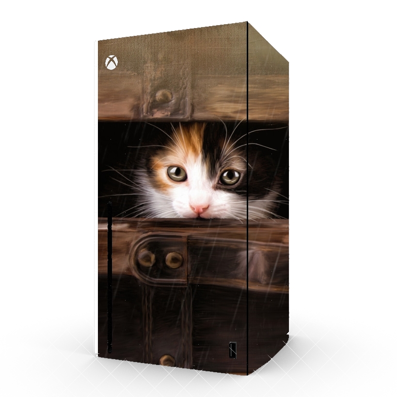 Autocollant Little cute kitten in an old wooden case