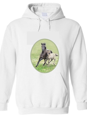 Sweat-shirt Chevaux poneys poulain
