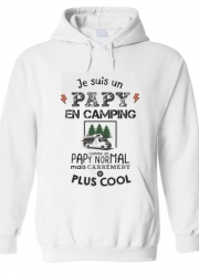 pull-capuche-homme-gris Papy en camping car
