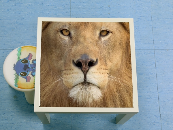 Table Africa Lion