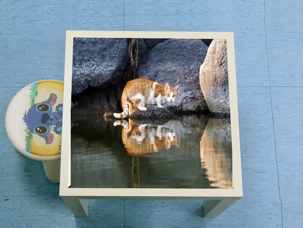 Table  Reflet chat dans l'eau d'un étang 