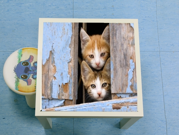 Table Petits chatons mignons à la fenêtre ancienne