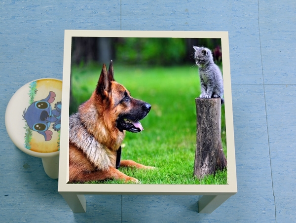 Table Berger allemand avec chat