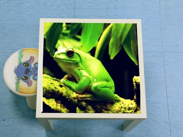 Table Green Frog