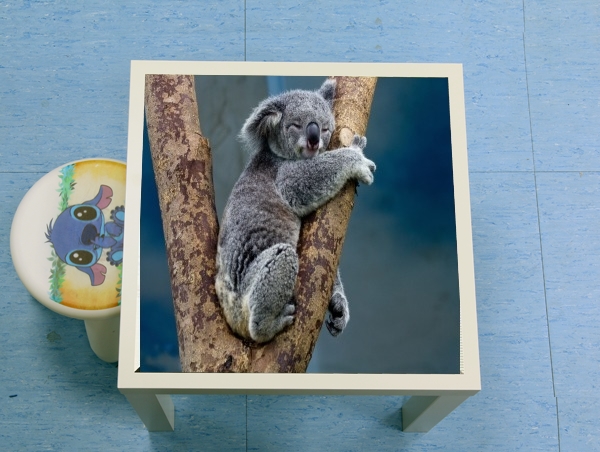 Table Koala Bear Australia