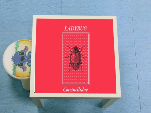 Table Ladybug Coccinellidae