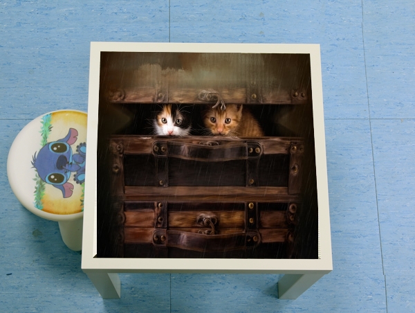 Table Little cute kitten in an old wooden case