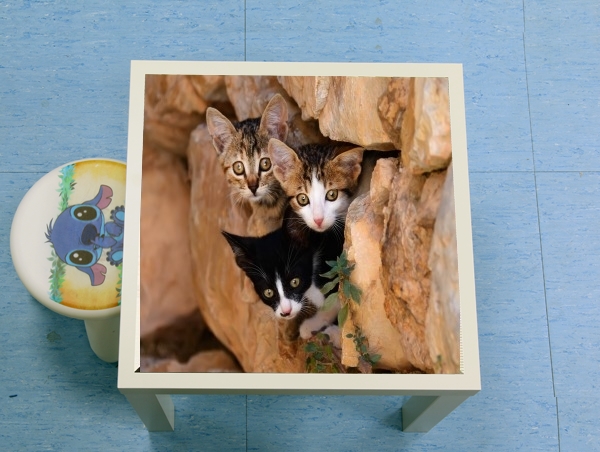 Table Trois petits chatons mignons dans un orifice d'un mur