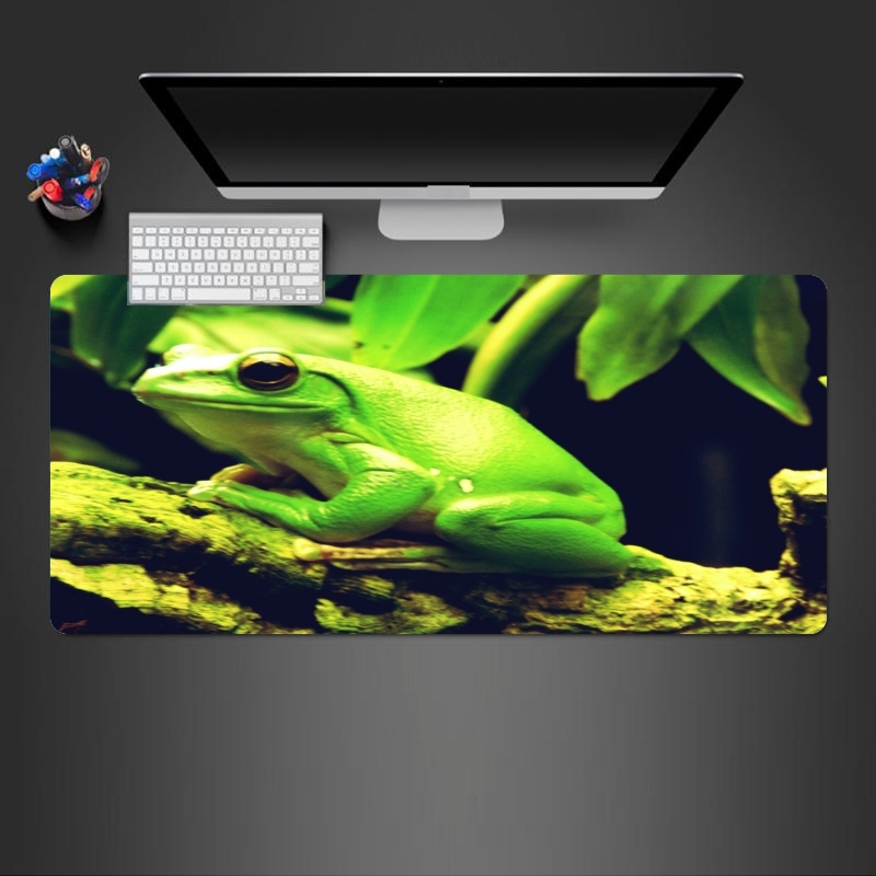 Tapis Green Frog