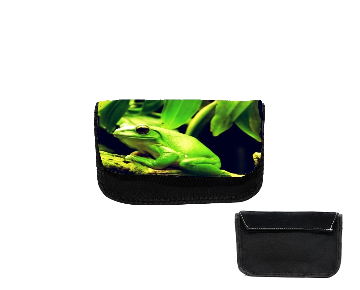 Trousse Green Frog
