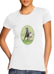tshirt-femme-blanc Chevaux poneys poulain