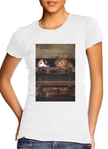 T-shirt Little cute kitten in an old wooden case