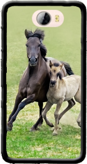 coque huawei y360 cheval