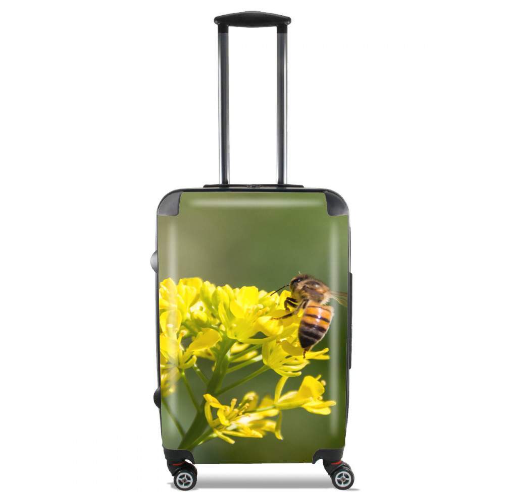 Valise A bee in the yellow mustard flowers