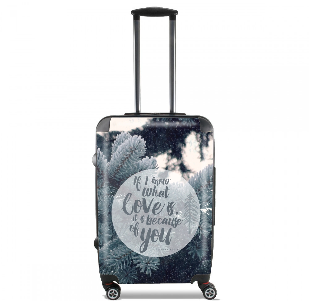 Valise Because of You