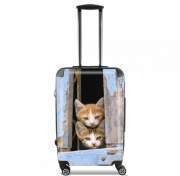 valise-format-cabine Petits chatons mignons à la fenêtre ancienne