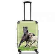 valise-format-cabine Chevaux poneys poulain