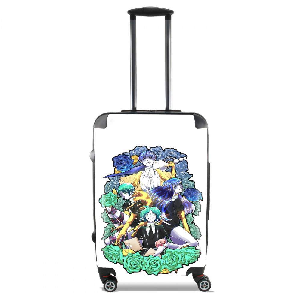 Valise land of the lustrous