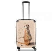 valise-format-cabine Meerkat
