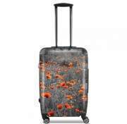 Valise format cabine Red and Black Field