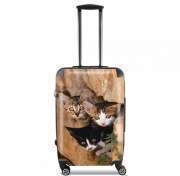 valise-format-cabine Trois petits chatons mignons dans un orifice d'un mur